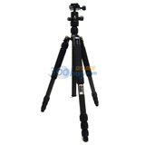 �޽ܣ�DIGIPOD�� C-2540FM+BH-51A ̼��ά רҵ�������żܣ���ɫ��(���� 8KG)
