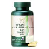 ������ʮһ������������730mg*60��