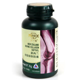 ������ʮһ���ǽ�ԭ������1630mg*60��