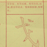 芬尚fs-wf-gd018 文房四宝加厚笔画范字毛笔字贴练习描红宣纸(12张)