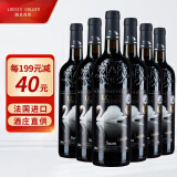 路易高登/louisgolden 法国进口红酒 白天鹅干红葡萄酒 750ml*6支整箱