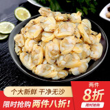 鲜活沙蚬子