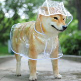 Lanswood 狗狗雨衣中大型犬宠物雨衣泰迪柴犬小型犬柯基金毛雨披防水透明 白边透明雨衣 XS(建议3斤内背长18cm)