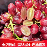 无籽红葡萄
