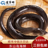 【顺丰冷链】现捕鲜活捕捞土龙海鲜水产新鲜海鳗鱼刺鳝骨鳗蛇鳗鱼500g