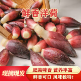 新鲜茗荷姜