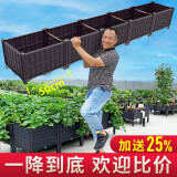原起点阳台楼顶种菜箱长方形蔬菜种植箱神器种菜盆菜箱塑料花箱户外 常用3联箱 150*40*22cm
