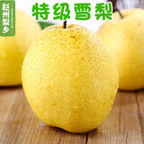 【河北雪梨雪花梨 】河北雪梨雪花梨 哪款好?看实拍,买好货!