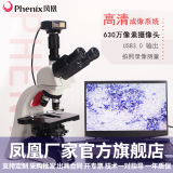 Phenix凤凰三目生物显微镜PH100-3B41L-IPL专业级无限远光学系统高倍高清实验室医学用 套餐一：显微镜+600万PRO接电脑（大景深）