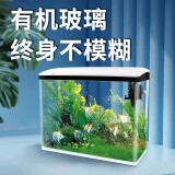 SICCE鱼缸懒人鱼缸家用客厅办公室金鱼缸中小型玻璃鱼缸过滤鱼缸 SO-600F（600*230*500）