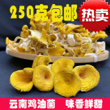 鸡油菌干货云南野生菌新鲜黄丝菌蘑菇菌菇黄金菌250克