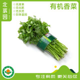 北菜园香菜有机香菜100g新鲜蔬菜生鲜【进店多样加购】调味菜