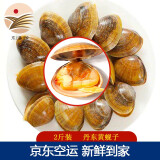 【东港馆】丹东黄蚬子 鲜活蚬子鲜活 海鲜贝类水产花甲 【2斤装】实惠