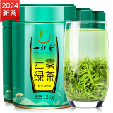 一杯香茶叶绿茶头采高山云雾500g2024新茶明前散装礼盒自己喝春茶日照足