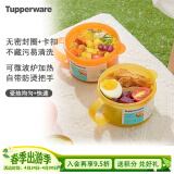 特百惠（Tupperware）微波可加热水晶汤碗水果碗 学生上班族便携饭盒460ml*2(颜色随机)