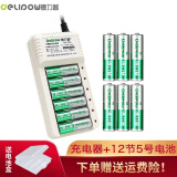德力普（Delipow）充电电池 5号/7号电池 配12节电池充电器套装 充电器+12节5号电池