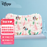 迪士尼（Disney）婴儿童枕头蝶形宝宝记忆枕午睡定型枕透气0-1-3岁软枕芯+枕套米妮