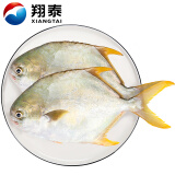 翔泰 冷冻海南金鲳鱼500g/2条ACS 生鲜鱼类 深海鱼火锅食材 海鲜水产