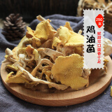 黄丝菌