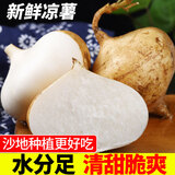 新鲜凉薯白地瓜 生吃土瓜凉薯水果 5斤装