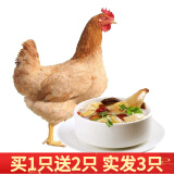 依禾农庄(eco farm)嘎啦/加力中国(陕西)
