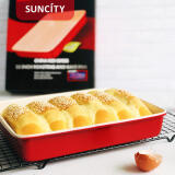 阳晨YC80245烘焙模具蛋糕烤盘面包长方形英寸红烤箱家用13英寸