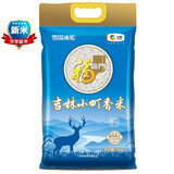 龙宫小町