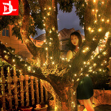 D&L太阳能彩灯灯串户外别墅庭院灯挂树圣诞节元旦节日表白七彩灯带 100颗灯珠-12米暖光8种亮灯模式