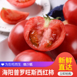 古寨山 山东普罗旺斯西红柿 新鲜沙瓤生吃番茄  新鲜蔬菜 4.5斤精选装