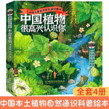 中国植物，很高兴认识你！（函套共4册）5-12岁儿童自然科普绘本图鉴家门外的自然课
