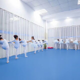 欧百娜 舞蹈室地胶室内幼儿园pvc塑胶地板早教中心舞蹈教室家用地胶 旭兰迪2.0mm【通用耐磨款】