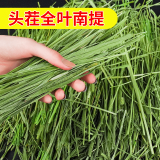 豚鼠牧草