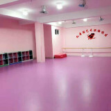 欧百娜 舞蹈室地胶室内幼儿园pvc塑胶地板早教中心舞蹈教室家用地胶 木纹4.5mm【舞蹈/幼儿园专业款】