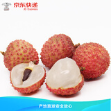 【京东直达】新鲜荔枝 现摘现发 应季水果 冰袋保鲜 桂味荔枝 3斤装