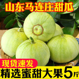 山东马连庄甜瓜新鲜5斤当季水果头茬现摘脆甜小香瓜蜜宝王瓜整箱 马连