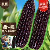 北蔬 黑甜糯玉米种子紫黑色超甜糯大棒可生食 晋黑糯3号玉米种子30g