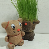 嘉瑰长草娃娃浇水草头娃娃可爱迷你植物小盆栽幼儿园儿童创意礼物水培 猫（2件）+托盘