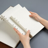 法拉蒙 faramon 活页替芯笔记本子适合9孔B5活页纸加厚方格替换内芯 B5-方格内芯