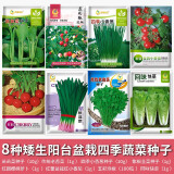 凤鸣雅世8种矮生阳台盆栽四季蔬菜种子套餐易成活的菜籽儿童蔬菜种子