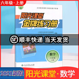 现货 阳光课堂金牌练习册数学六年级上册义务教育教科书配套教学资源