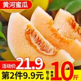 【东坡馆】黄河蜜瓜黄金蜜瓜甜瓜香瓜新鲜水果 精选5斤/箱