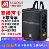 曼龙(malone) 曼龙户外k歌便携背带三分频音响大功率重低音演出网红