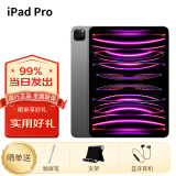 苹果（Apple）ipadpro2022款11英寸苹果平板电脑 M2芯片 11寸灰色+手写笔+壳膜 512G WLAN版