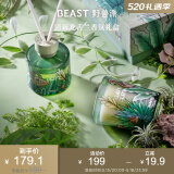 野兽派（THE BEAST）Jungle清新龙舌兰香薰蜡烛礼盒香薰卧室新婚礼物生日礼物520礼物