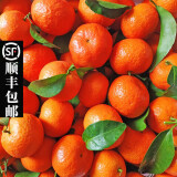 顺丰【正宗砂糖橘】沙糖桔新鲜水果当天现摘香甜多汁蜜橘5/10斤装整箱