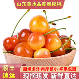 山东小樱桃