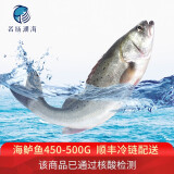 名扬湖海 新鲜大海鲈鱼 鲜活冷冻七星海鲈鱼 450-550g/条 生鲜鱼类