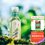 农夫山泉 东方树叶玄米茶复合茶饮料500ml*15瓶 整箱