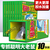 金大侠粘鼠板老鼠贴超强力家用老鼠一窝端捕鼠神器加大加厚灭鼠粘板10片