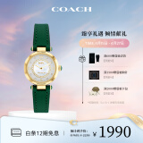 蔻驰（COACH）CARY系列贝母表盘 皮带女表14503894小绿表 送礼/礼物